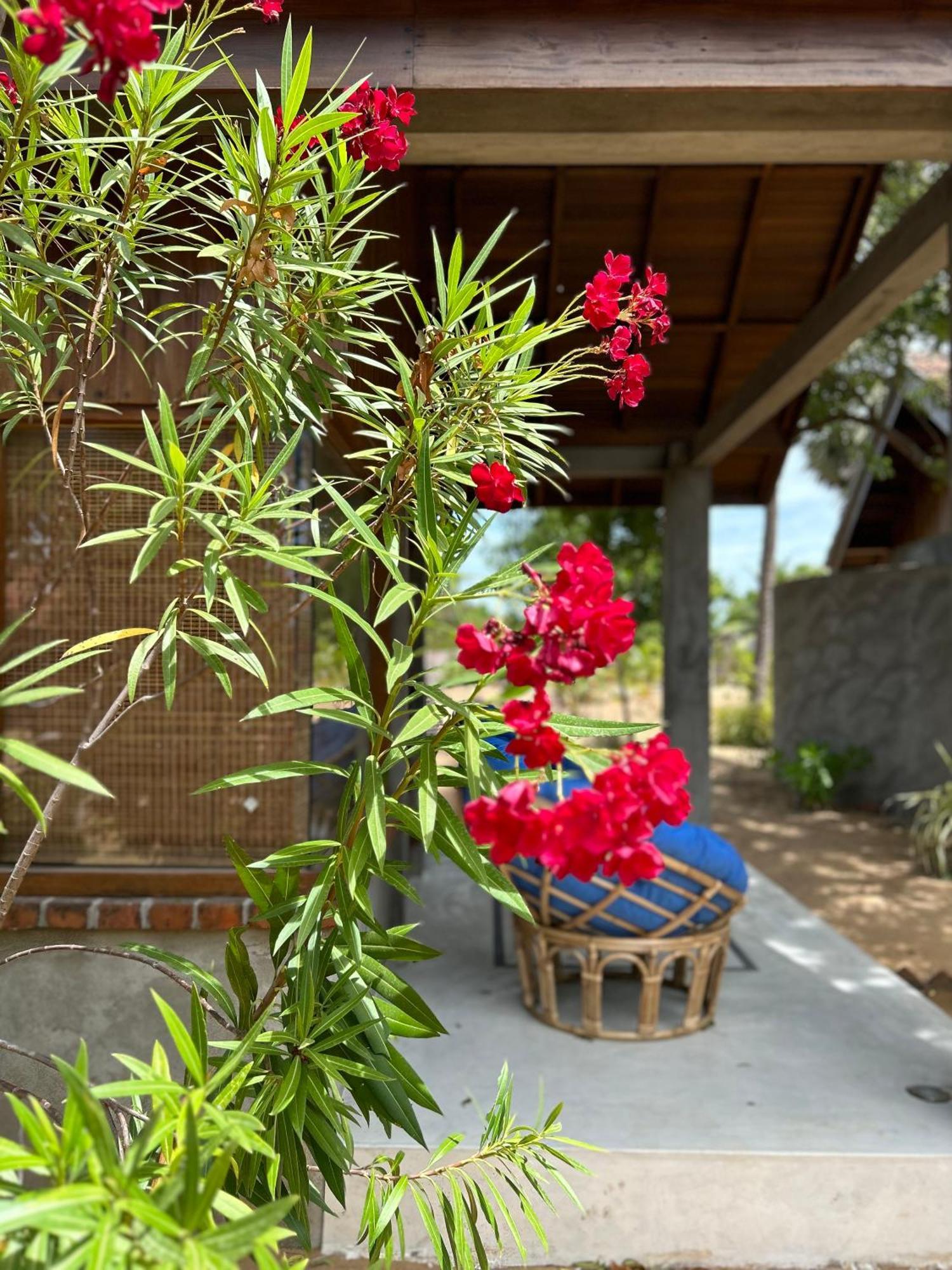 Arasi Resort Kalpitiya Exterior photo
